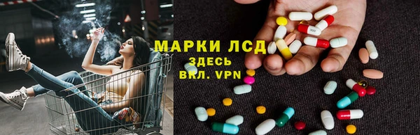 ПСИЛОЦИБИНОВЫЕ ГРИБЫ Зерноград