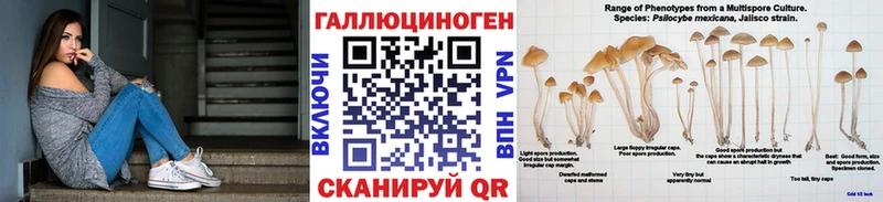 Псилоцибиновые грибы мухоморы Купить где Данилов